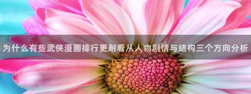 漫蛙漫画网站最新地址