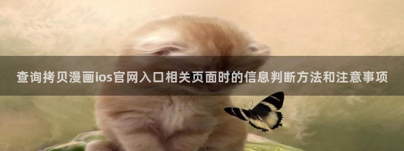 漫蛙漫画网页地址